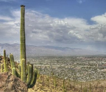 Tucson Overview